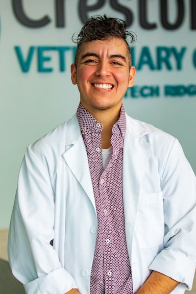 Crestview Veterinary Clinic on Airport Blvd